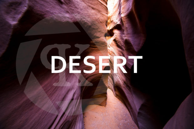 Desert Photo Gallery Link