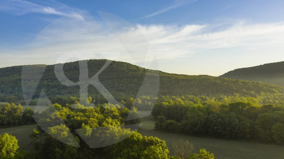 Aerial shot of a hill of trees