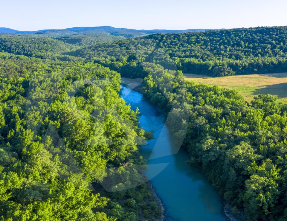 Aerial shot of a river surrounded by green trees