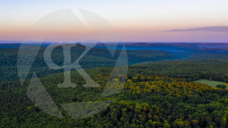 Aerial shot of treetops at sunset